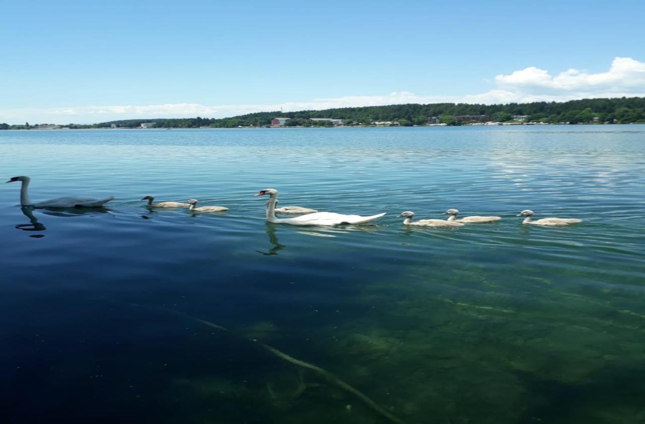 Pension Carina Sankt Kanzian am Klopeiner See Bagian luar foto